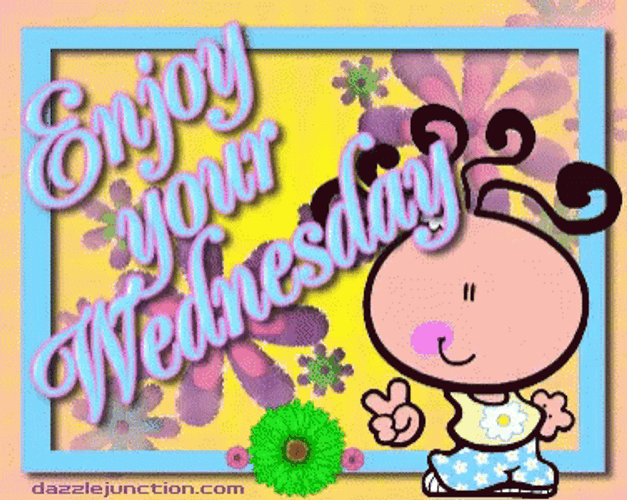 Cute Wednesday Enjoy It GIF