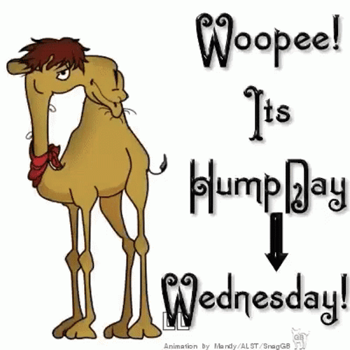 Cute Wednesday Humpy Day GIF