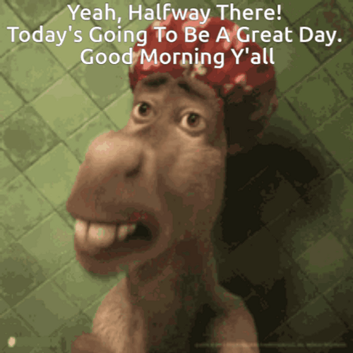 Cute Wednesday Shocked Donkey GIF