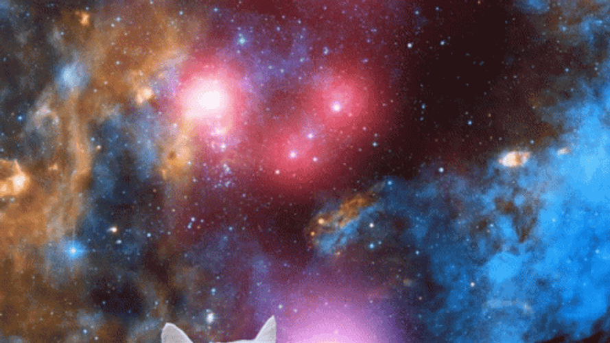 Cute White Cat Colorful Galaxy GIF