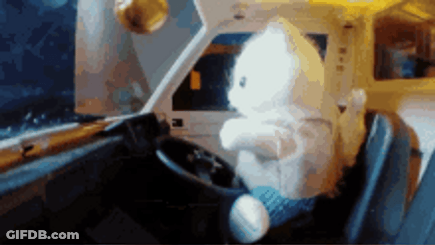 Cute White Cat Driving GIF