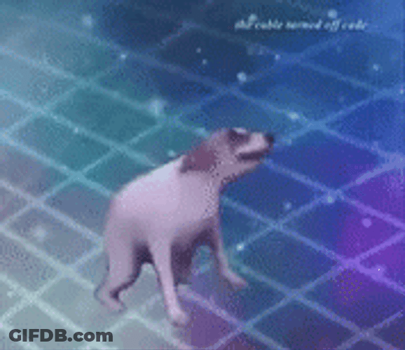 Cute White Little Dog Funny Dancing GIF