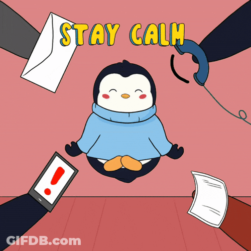 Cutie Stay Calm Penguin GIF