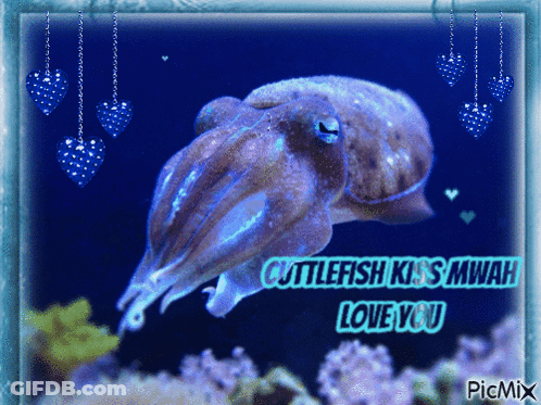 Cuttlefish Saying Cuttlefish Kiss Mwah Love You GIF