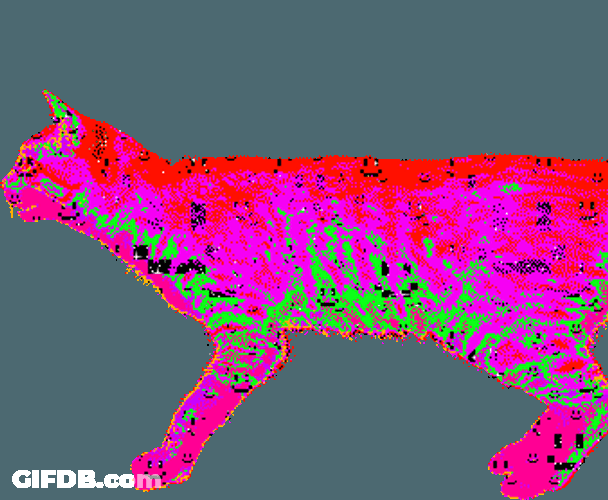 Cyber Cat Neon Smile Face GIF
