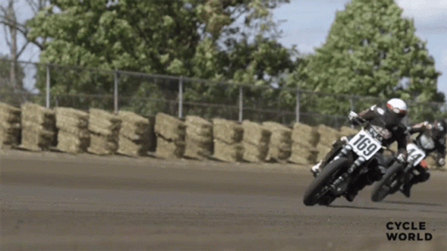 Cycle Race Day GIF