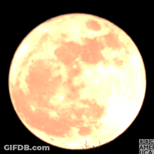 Cyclist Stopping In Front Of Super Moon GIF