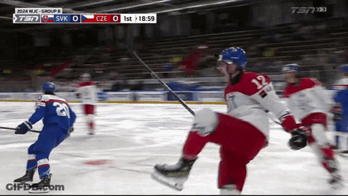 Czechoslovakia Vs Slovakia Hockey Game GIF