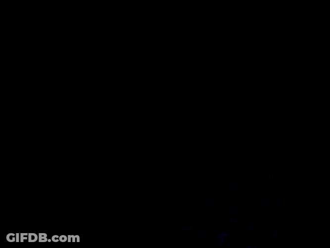 D4c Jojo GIF