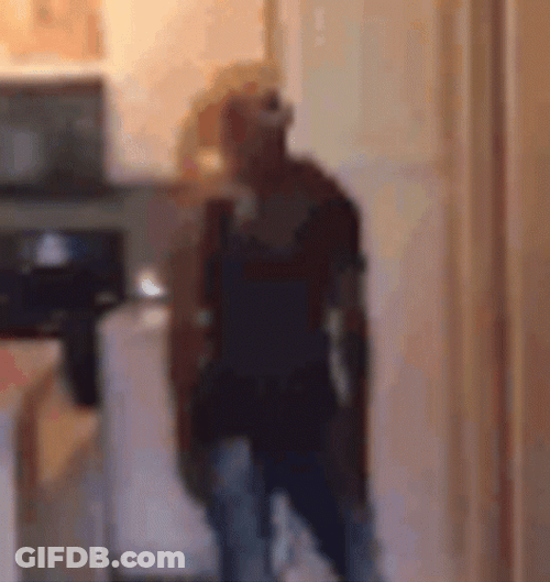 Dab Disappear Meme GIF