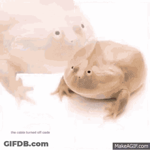 Dabfrogforclara Triggered GIF