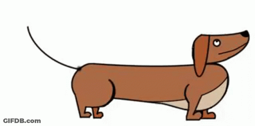 Dachshund Animated Dog GIF