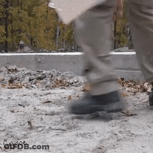 Dachshund Digging GIF