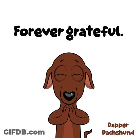 Dachshund Forever Grateful GIF