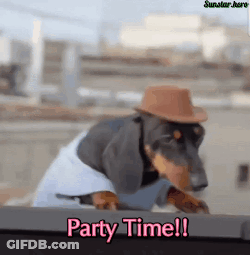 Dachshund In Cowboy Hat And Blue Shirt Says Party Time GIF