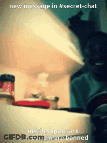 Dachshund Looking Up At Camera GIF