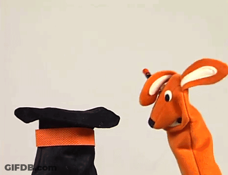 Dachshund Puppet Beside Top Hat With Purple Light GIF