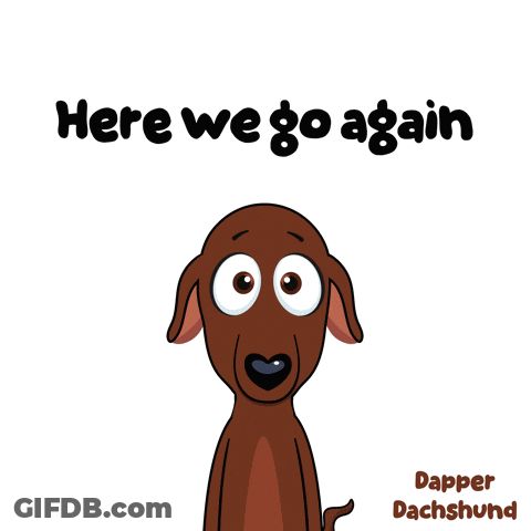 Dachshund Saying Here We Go Again GIF