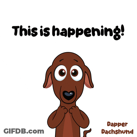 Dachshund Saying This Is Happening GIF