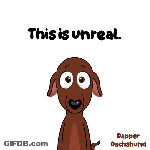 Dachshund Saying This Is Unreal GIF