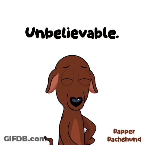 Dachshund Saying Unbelievable GIF