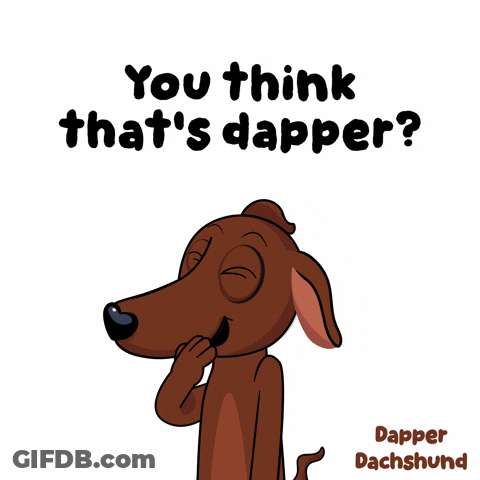 Dachshund Saying You Think That's Dapper GIF