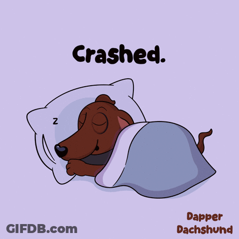 Dachshund Sleeping Under Blanket Crashed GIF