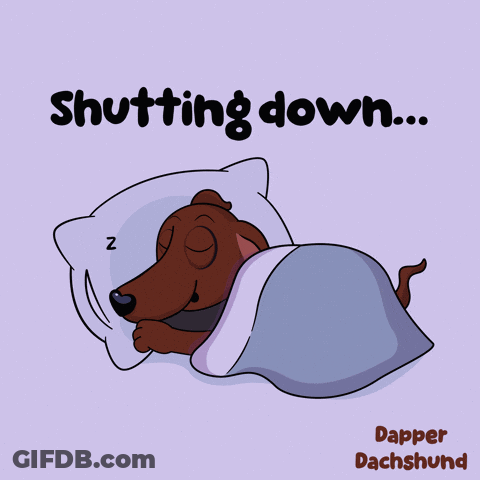 Dachshund Sleeping Under Blanket Shutting Down GIF