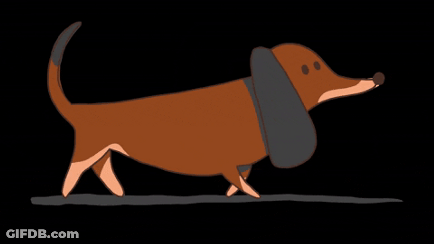 Dachshund Walking Dog GIF
