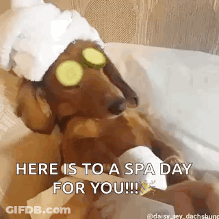 Dachshund Wearing Cucumber Slices On Eyes GIF