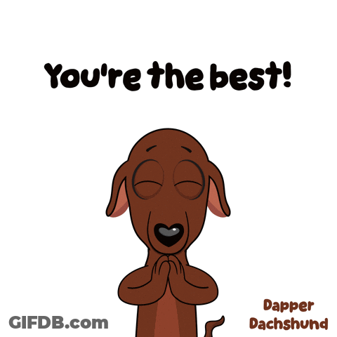 Dachshund You're The Best GIF