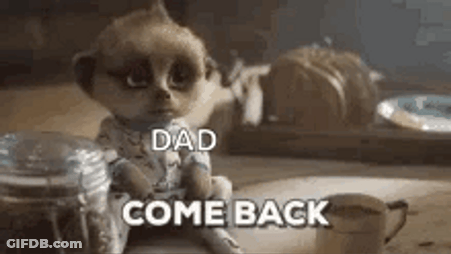 Dad Come Back Meerkat Oleg GIF