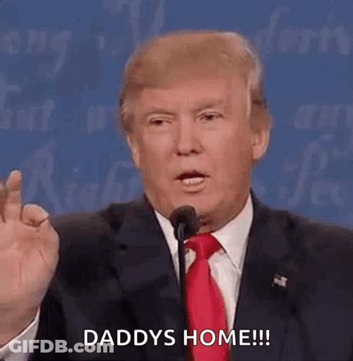 Daddys Home Donald Trump GIF