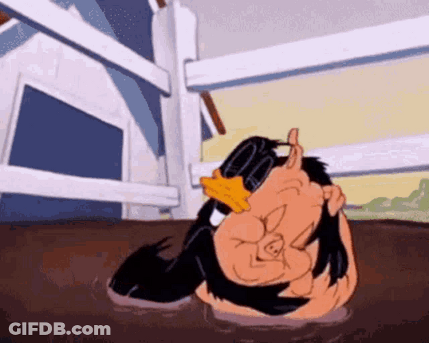 Daffy Duck Kissing Pig GIF