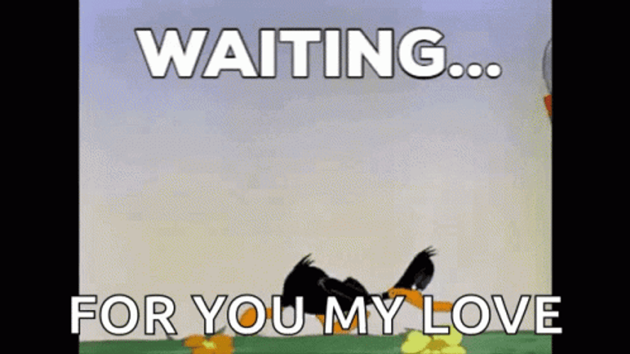 Daffy Duck Waiting Patiently For You My Love GIF