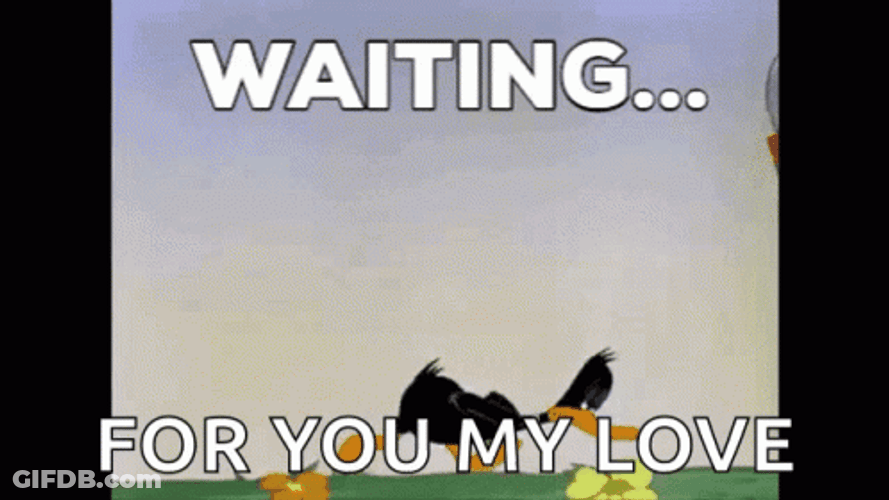 Daffy Duck Well Were Waiting For You Love GIF