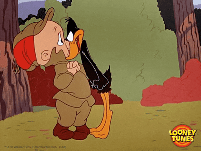 Daffy Eyeing Elmer Fudd GIF