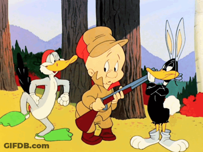 Daffy On Hunting Season GIF