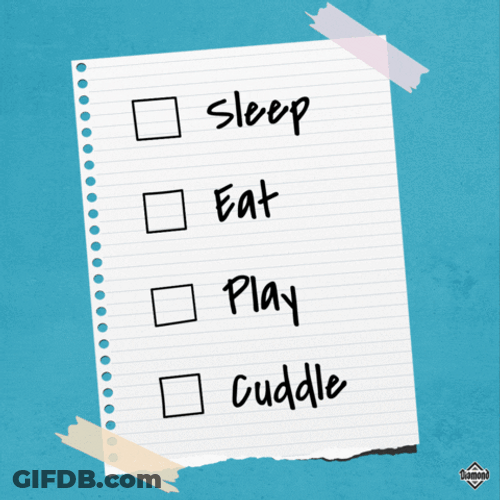 Daily Routine Checklist For Couples GIF