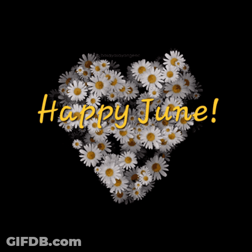 Daisies Happy June GIF