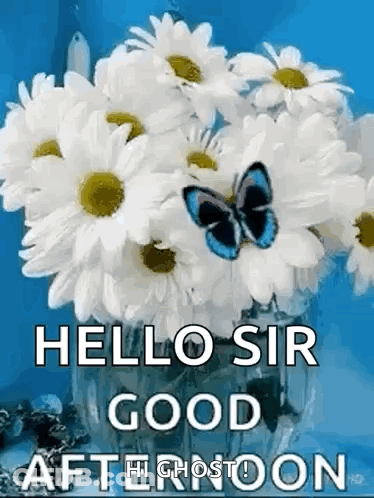 Daisies In Vase With Blue Butterfly GIF