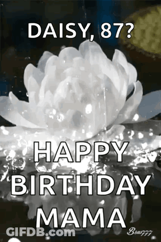Daisy Flower Happy Birthday Mama GIF