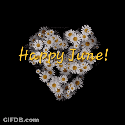Daisy Heart With Happy June In Yellow GIF