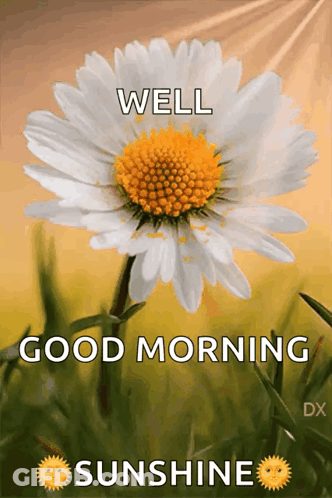 Daisy Saying Well Good Morning Sunshine GIF