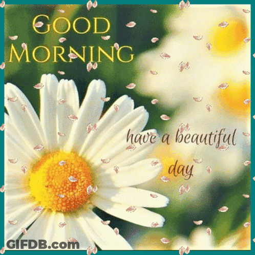 Daisy With Good Morning Have A Beautiful Day GIF