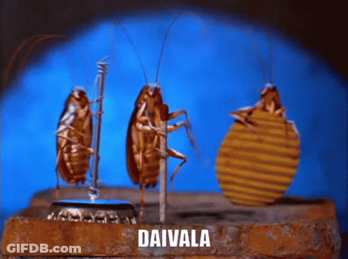 Daivala Kabakum GIF