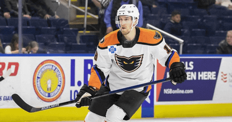 Dale Ice Hockey Sports GIF