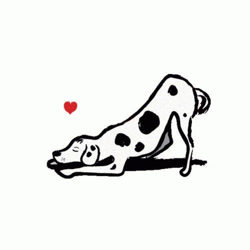 Dalmatian Dog Bowing Down GIF