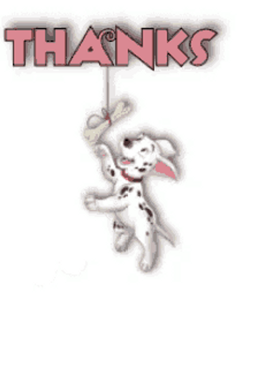 Dalmatian Dog Thanks GIF