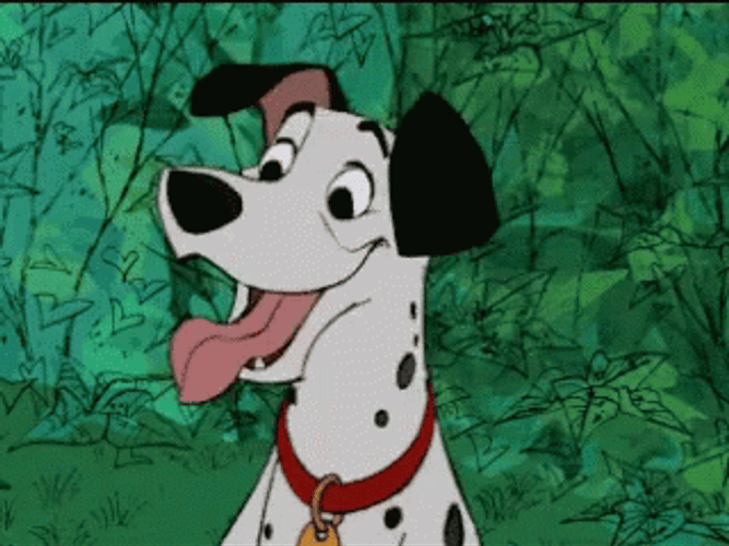 Dalmatian Dog Tongue Out GIF